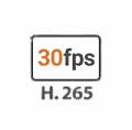 30 kadru sekundē, H.265 kodekss